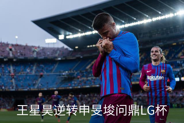 王星昊逆转申旻埈问鼎LG杯